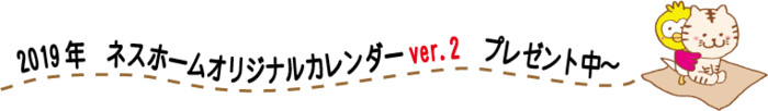 nn_calen_v2b.png