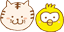 nn_face.png